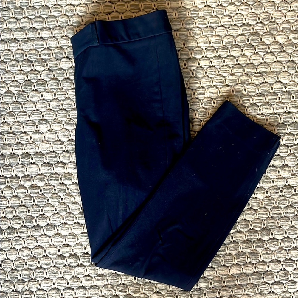 Banana Republic Navy Sloan Fit Pants